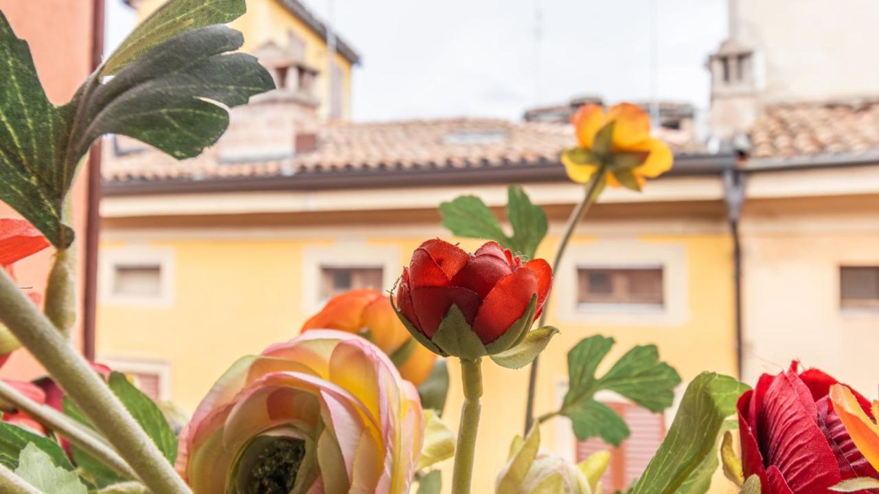Monolivi 35 - Affitti Brevi Italia Apartman Modena Kültér fotó